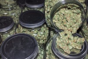 Marijuana Charges Rochester Criminal Defense Lawyer Attorney