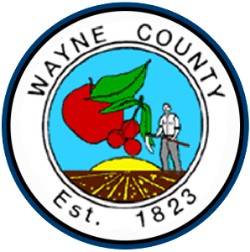 Wayne County Courts