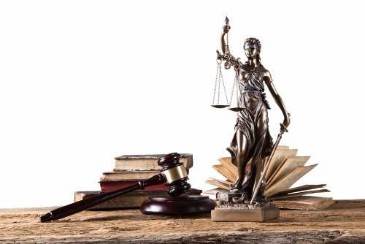 The Role of a Law Guardian