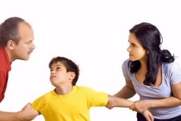 Differences Between Joint and Sole Custody